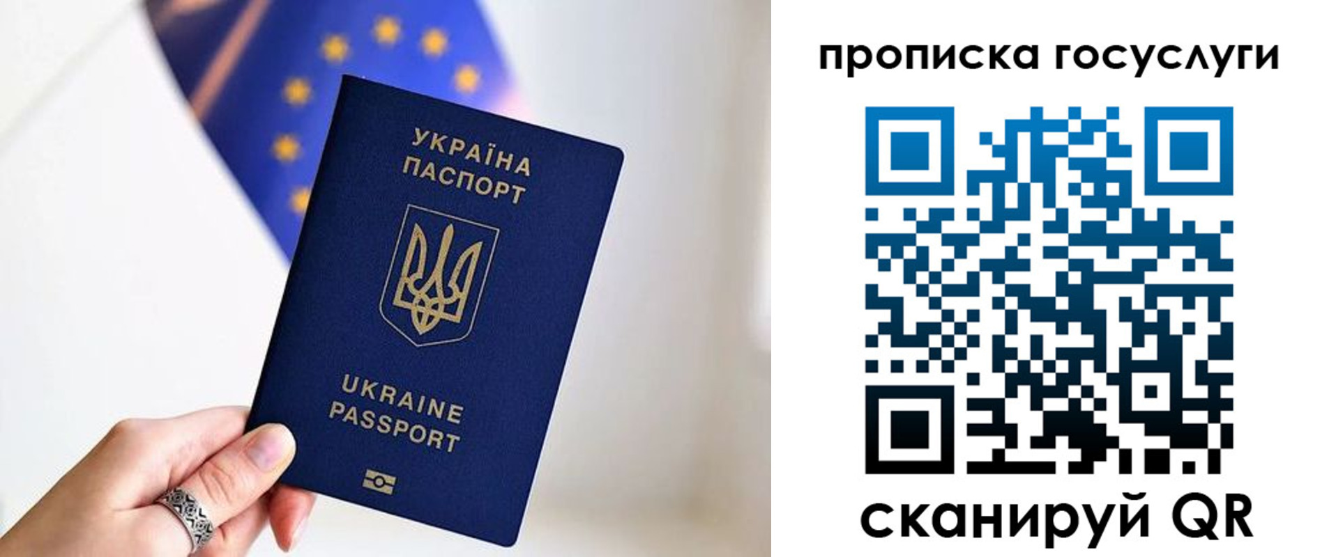 временная регистрация для всех в Менделеевске